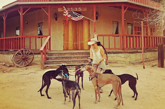 Nomad Women Stories